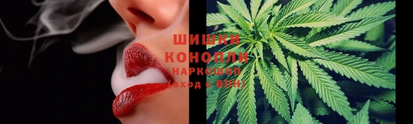 амф Елабуга