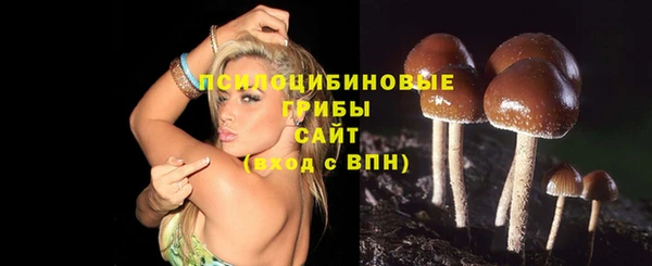 амф Переславль-Залесский
