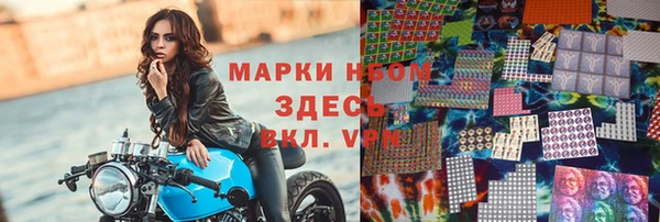 ГАЛЛЮЦИНОГЕННЫЕ ГРИБЫ Заволжье