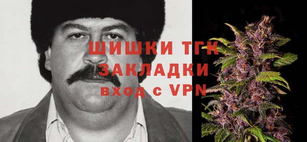 a pvp Ельня