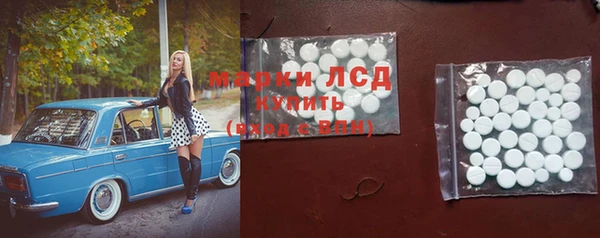 ГАЛЛЮЦИНОГЕННЫЕ ГРИБЫ Заволжье