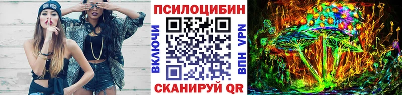 Псилоцибиновые грибы Cubensis Северобайкальск
