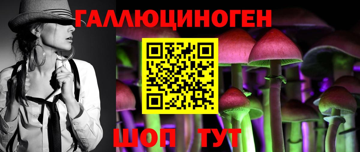 Галлюциногенные грибы GOLDEN TEACHER  Вход с VPN  Псилоцибиновые грибы Cubensis  Северобайкальск 